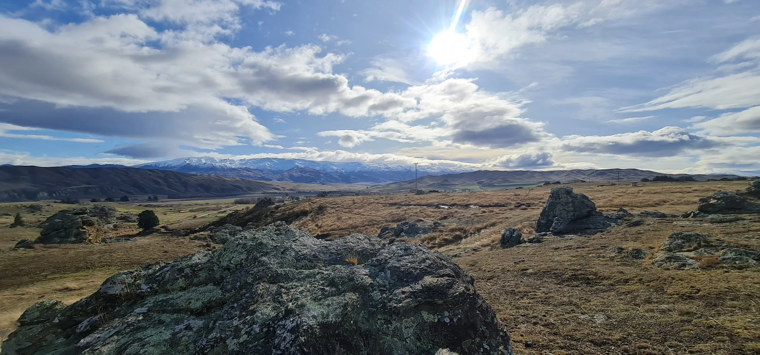 Tussock and schist outcrops in Central Otago, with a snow-covered range on the horizon